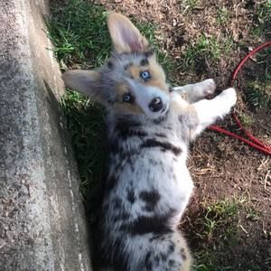 Meet your Posher, Matt